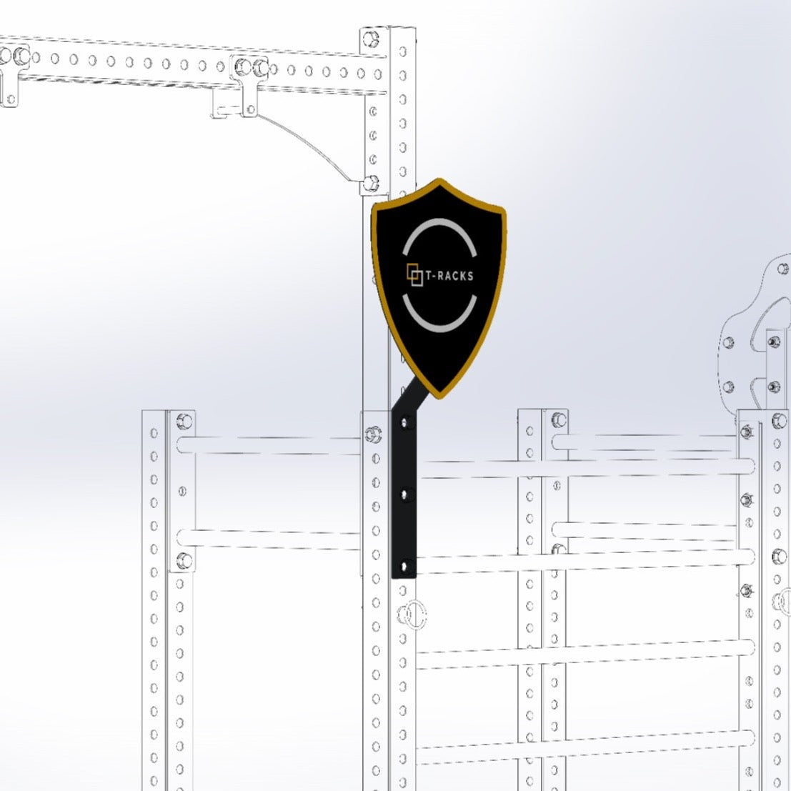 Wall Ball Target